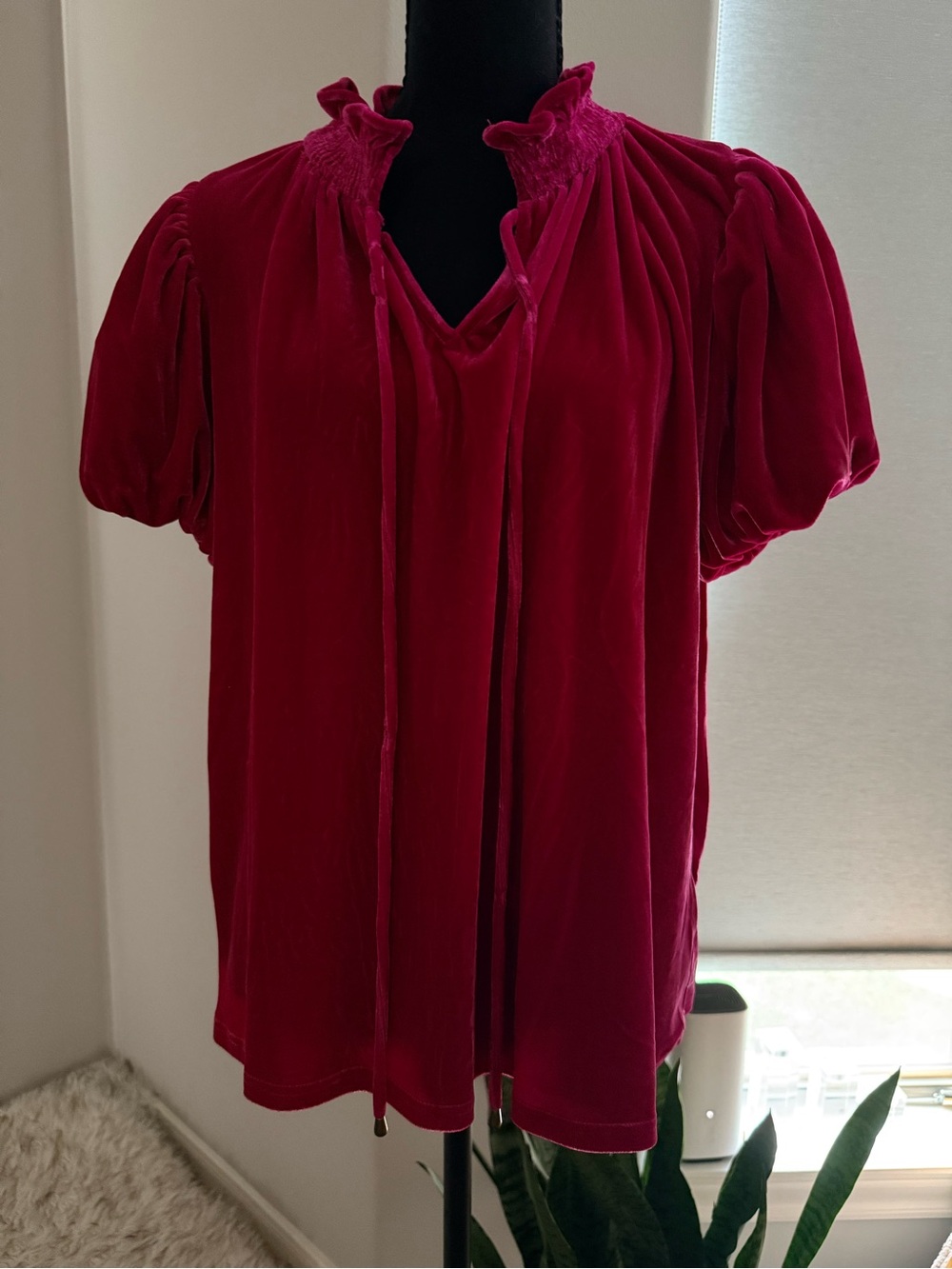 entro Velvet Short-Sleeve Blouse in Rich Cranberry